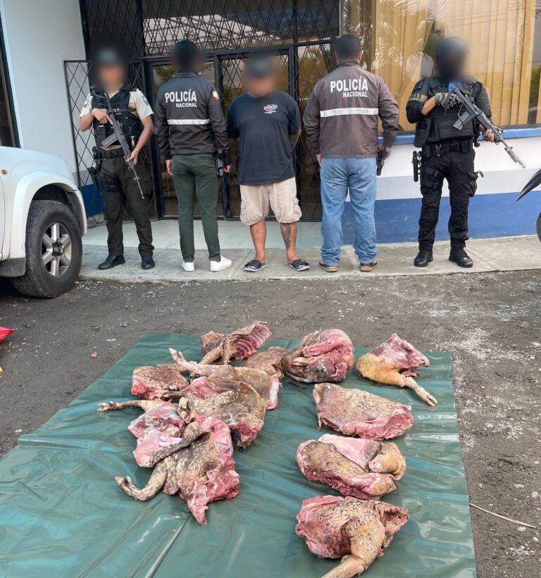 La Policía aprehendió a un ciudadano por actividad ilícita contra la flora y fauna en Orellana