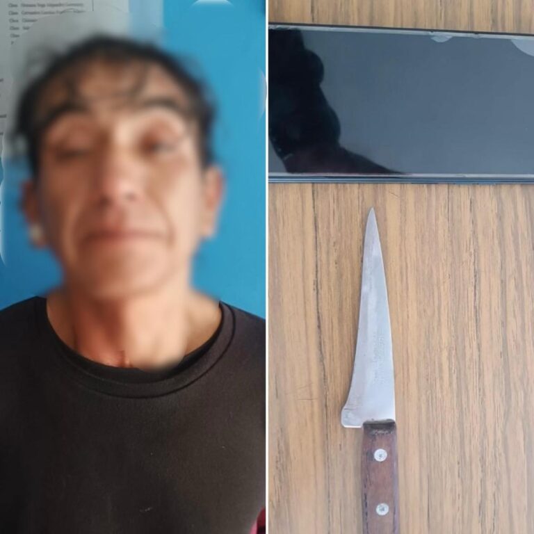 Aprehendido por robar un celular