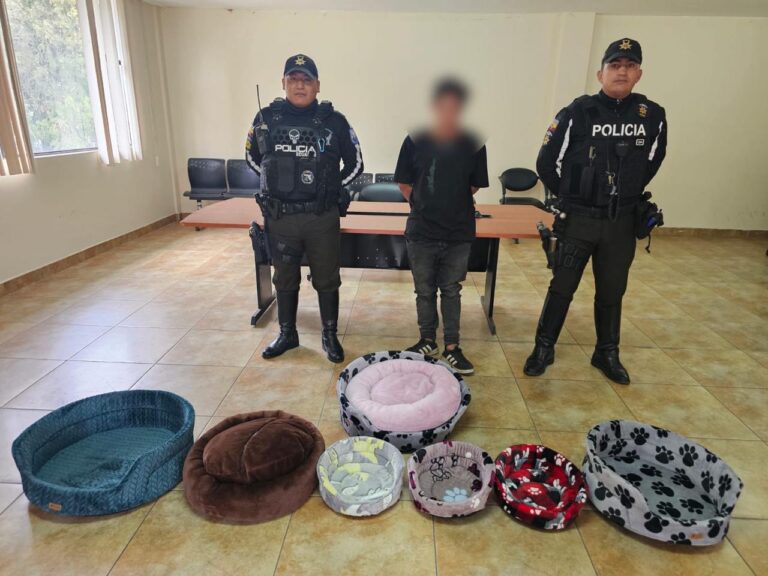 Policías aprehenden a ciudadano por delito de hurto