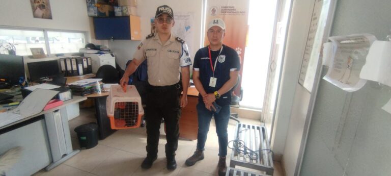 Policía especializada en protección del medio ambiente rescata aves silvestres