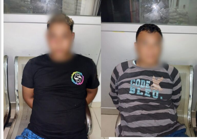 Se aprehendió a dos implicados en el delito de robo en ejes viales.