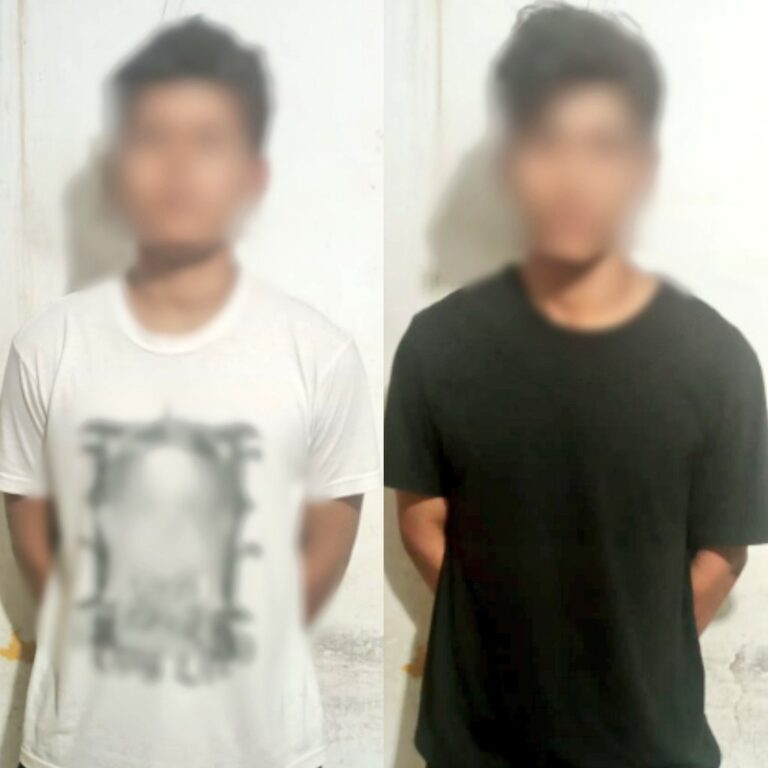 02 aprehendidos por tenencia y porte de arma de fuego