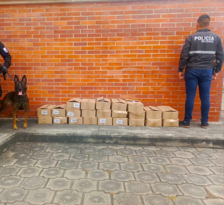 En Guayaquil, la Policía incautó más de 2 millones de dosis de droga que tenían como destino internacional