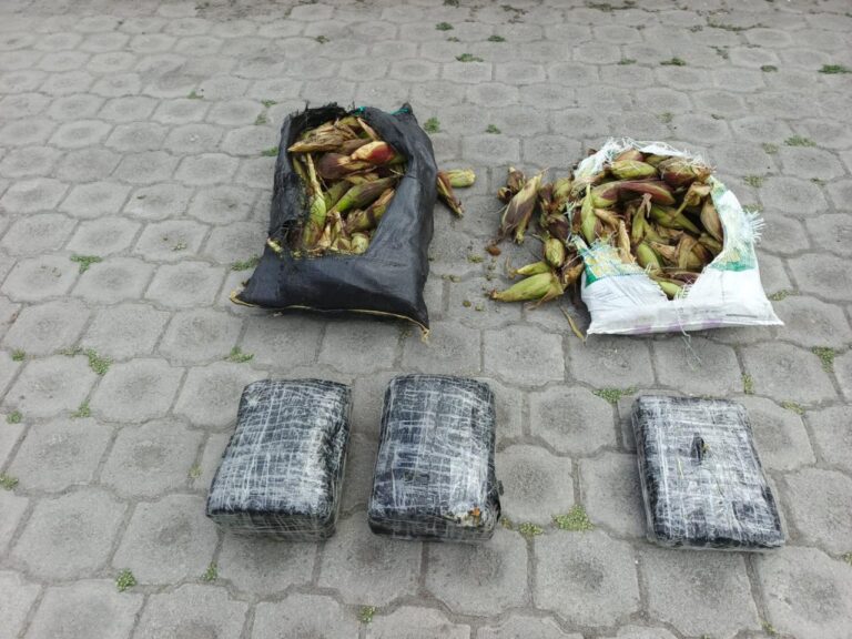 Encuentran más de 25 mil dosis de droga abandonadas