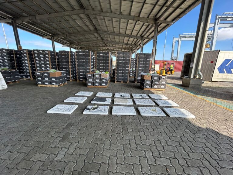 Policía evitó que más de un millón de dosis de cocaína llegue a Alemania