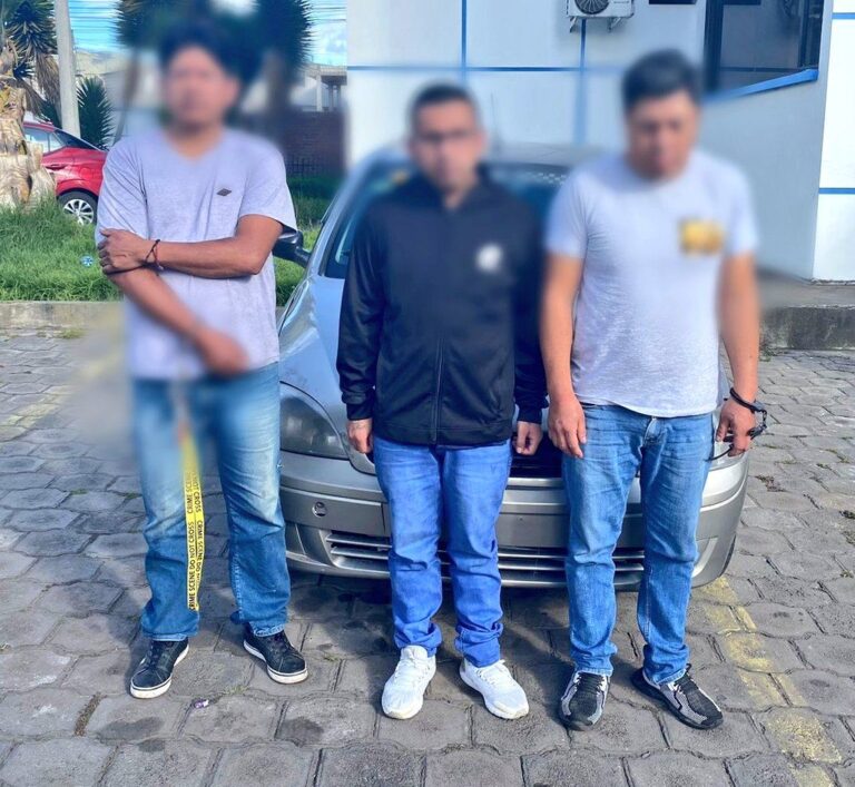 Organización delictiva que sustraía partes de vehículos fue capturada