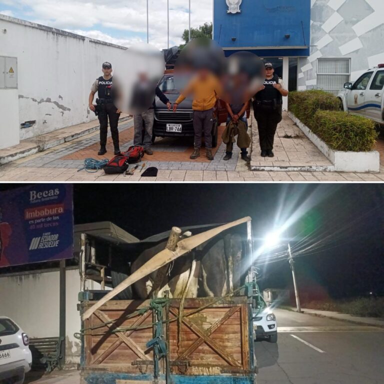 Aprehendidos por presunto delito de abigeato