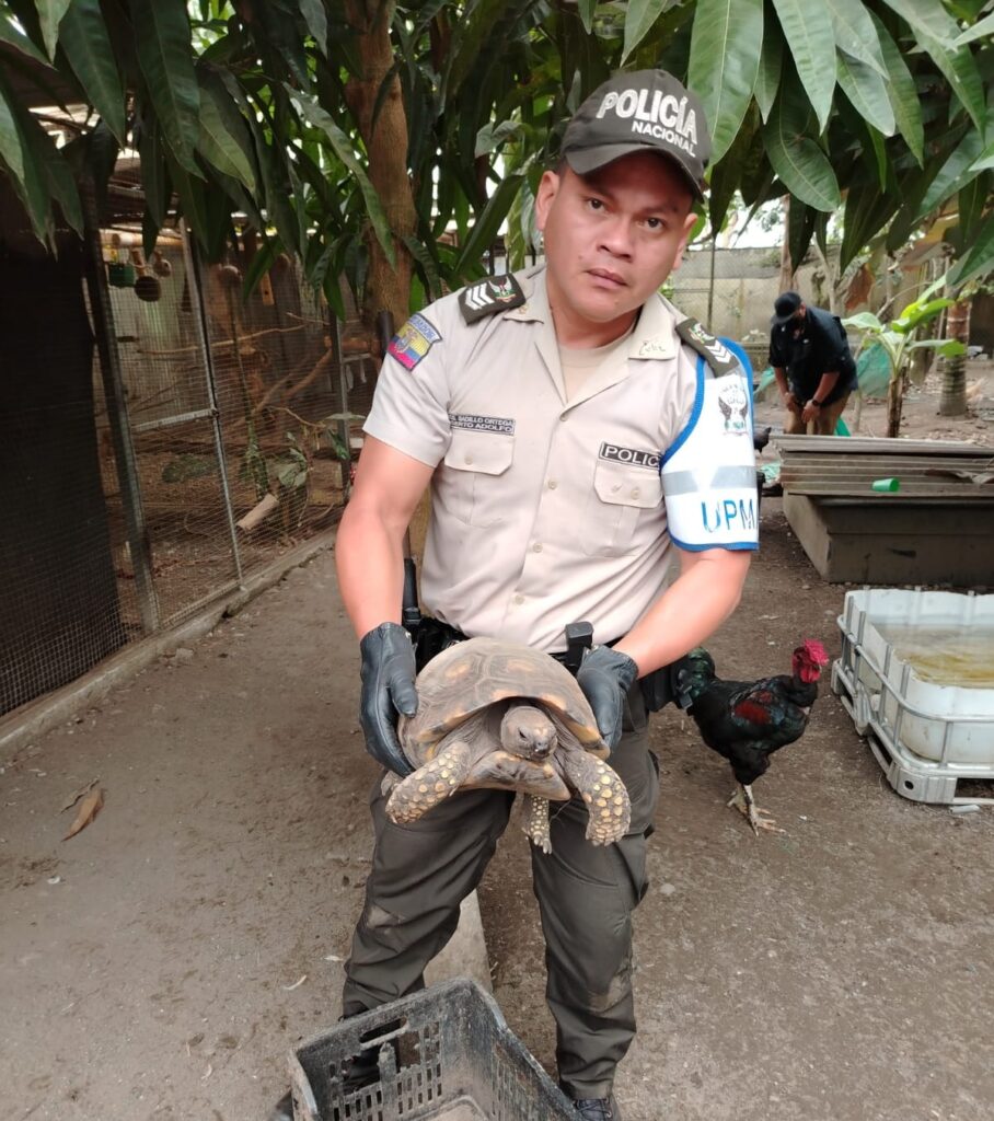 Animales Rescatados Policía protege el medio ambiente y rescata animales silvestres en ...