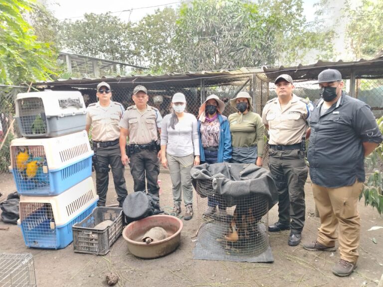Policía protege el medio ambiente y rescata animales silvestres en Guayas