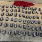 droga decomisada en Manabí 1
