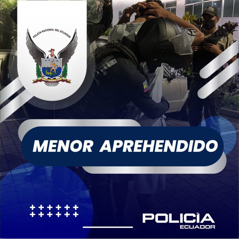 Adolescente aprehendido