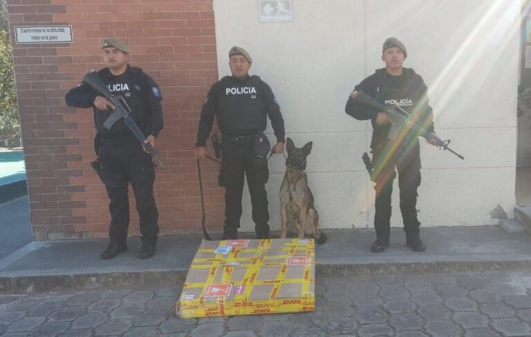 La Policía evitó que más de 17 mil gramos de cocaína sea comercializada