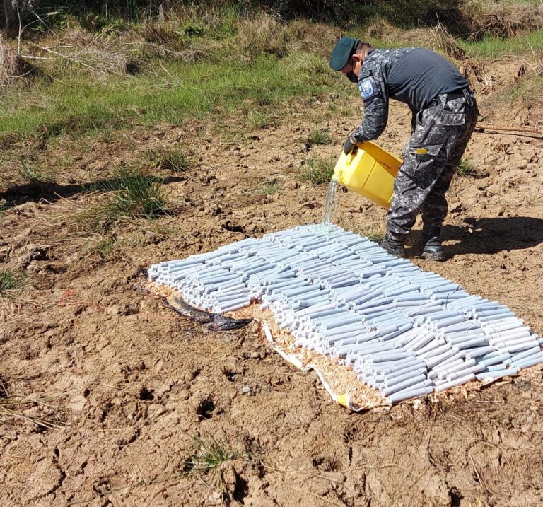 Policía decomisa gran cantidad de explosivos y detiene a un ciudadano