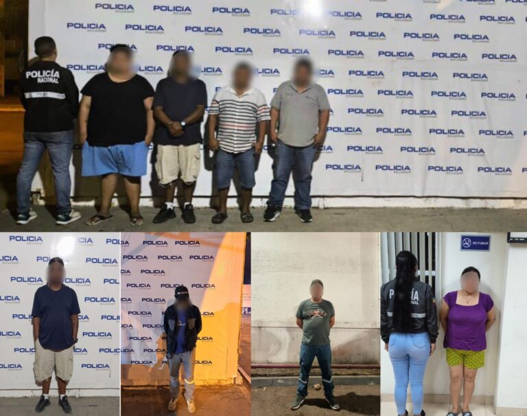 Policía desarticuló un organización delictiva que estaría involucrada en varios delitos