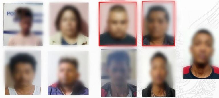 Trabajo investigativo permitió desarticular importante red criminal