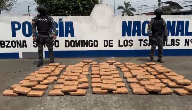 Un aprehendido por tener su poder sustancias sujetas a fiscalización en Santo Domingo