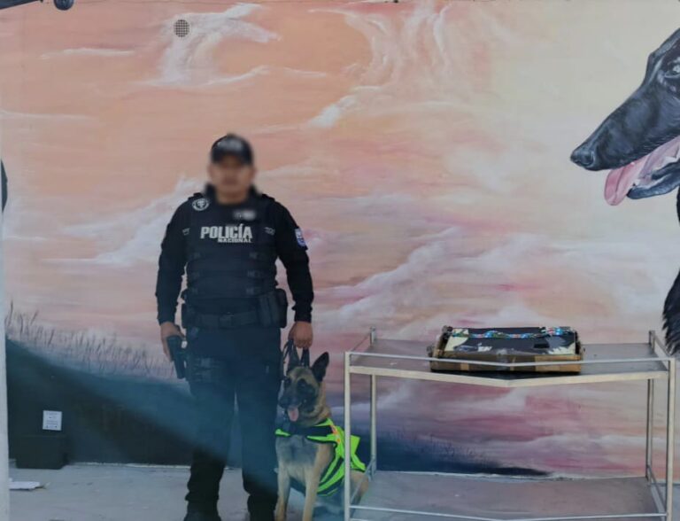 Policía incautó 65.000 dosis de estupefacientes en narco-encomiendas