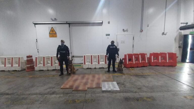 Policía evitó la comercialización de más de 58 mil gramos de cocaína