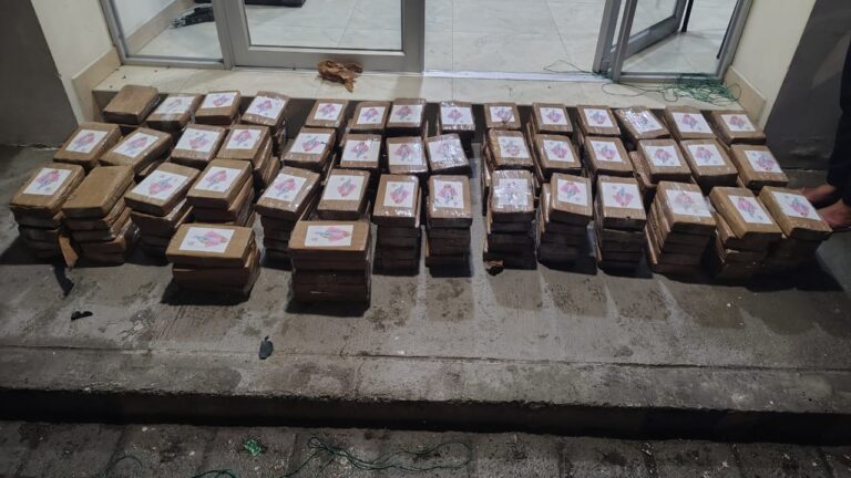 Policía incautó 219 000 gramos de droga y capturó a un sujeto implicado en el delito