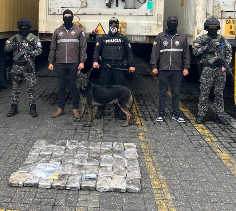 Policía retira del mercado ilegal más de 442 mil dosis de droga