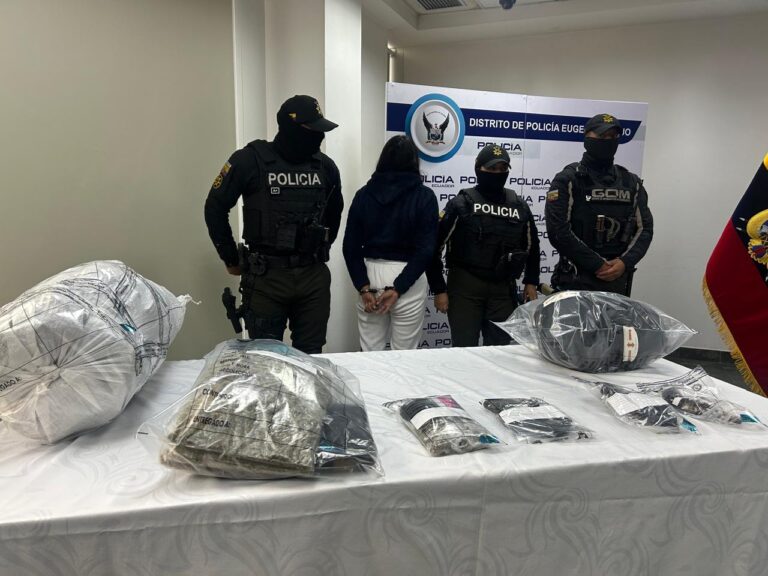 Una aprehendida, armas y más indicios fueron los resultados de operativo policial al sur de Quito