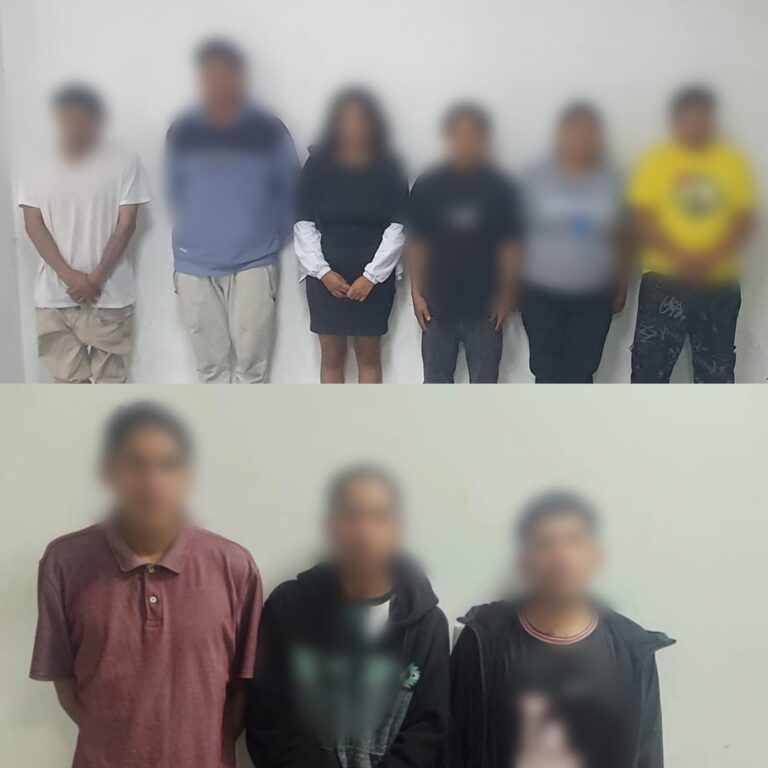 Policía evitó la comercialización de más de 28 mil dosis de droga
