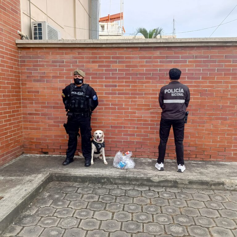 Policía captura encomienda con droga valorada en más de cien mil dólares