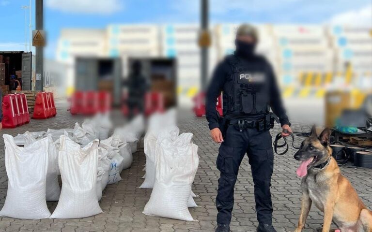Policía interceptó millonario cargamento de cocaína en contenedores con abono