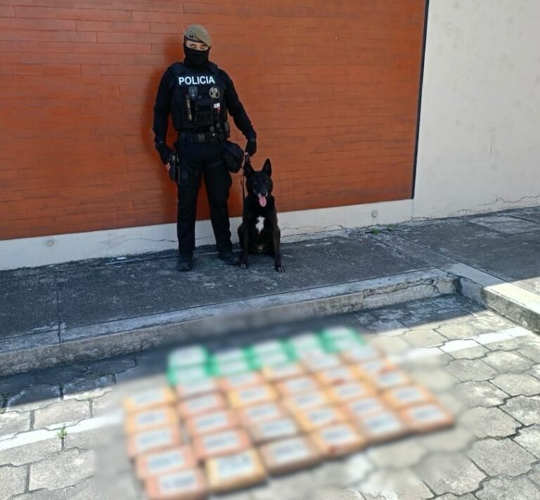 La lucha contra el narcotráfico continúa