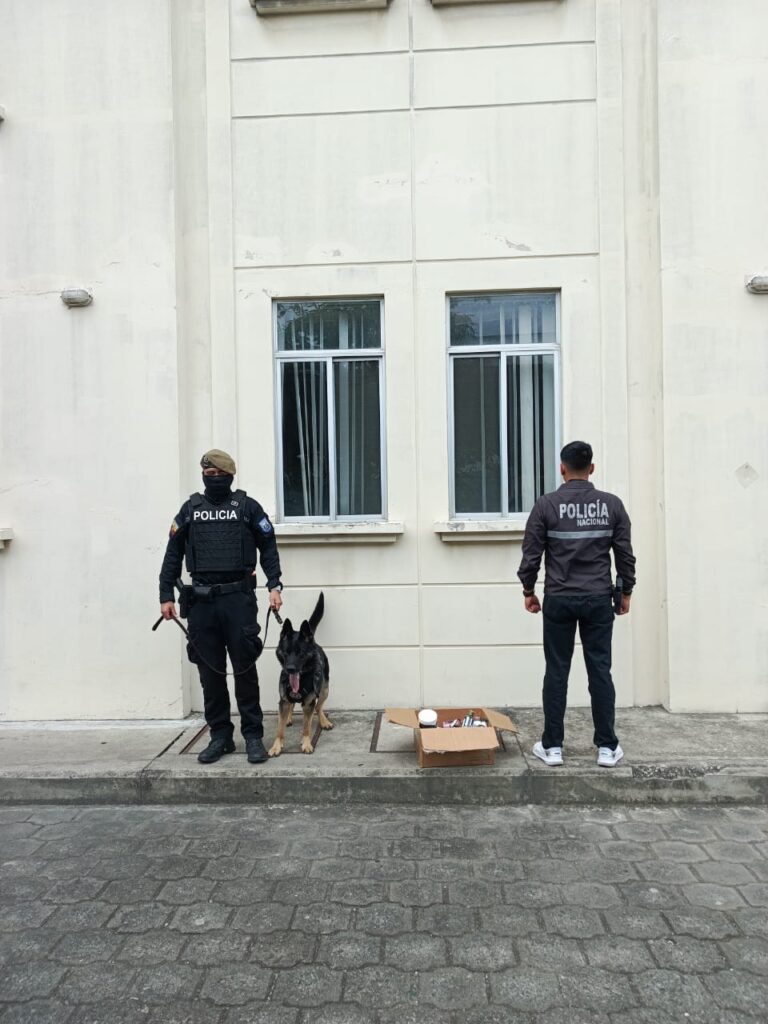 Policía detectó droga líquida en encomiendas