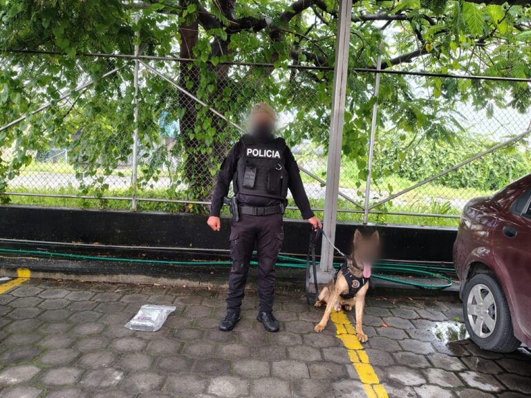 Policía intercepta e impide envió de droga valorada en más de 200 mil dólares