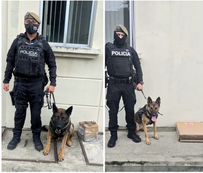 Policía frustra envió de cocaína en encomiendas
