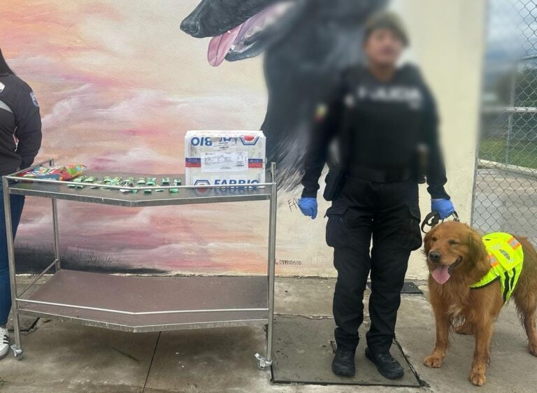 Policía frustra envió de cocaína en encomienda