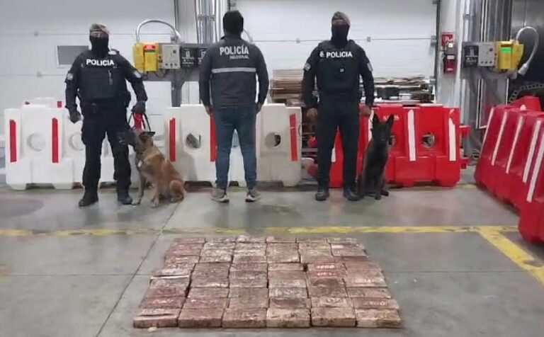 Operativo Policial evitó el tráfico internacional de 5´970.000 dosis de cocaína