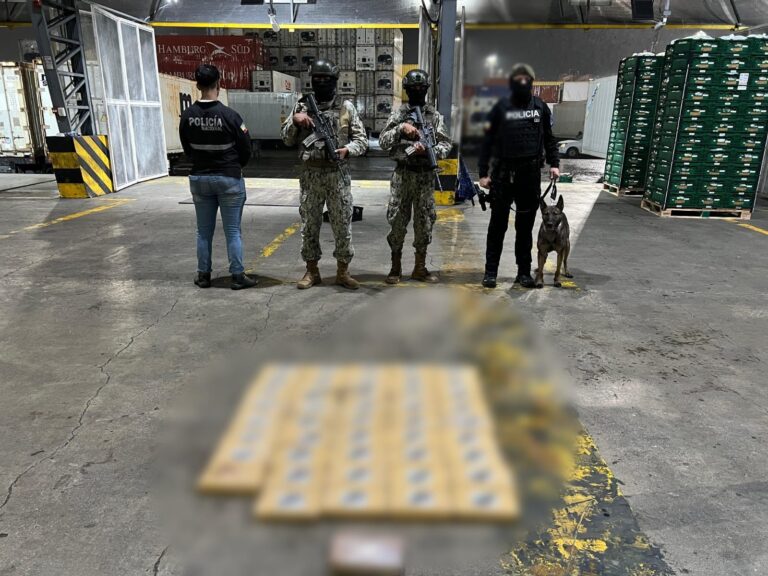Policía Nacional interceptó cerca de medio millón de dosis de droga que tenían como destino Bélgica