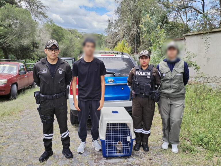 Aprehensión de un ciudadano, implicado en el delito contra la fauna silvestre
