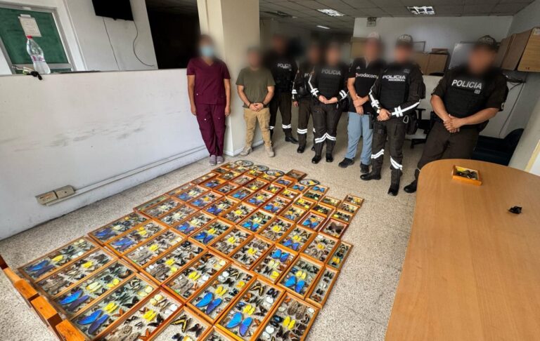La Policía Nacional retiene 80 cajas entomológicas en Guayaquil