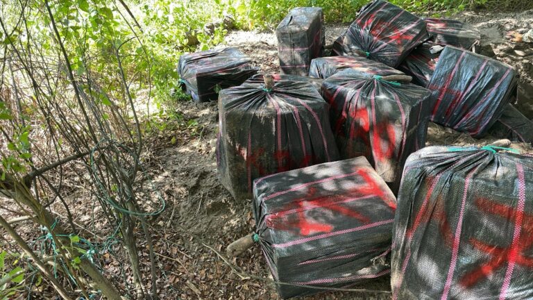 Policía evitó el tráfico internacional de más de una tonelada de cocaína