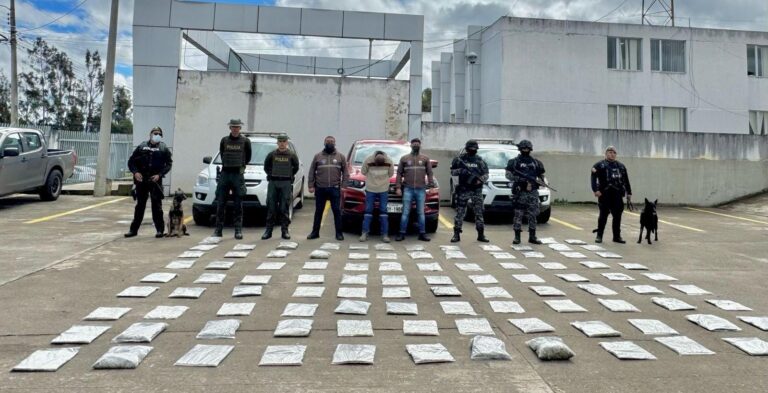 Un ciudadano aprehendido y 164.896 dosis de marihuana incautadas en Tulcán
