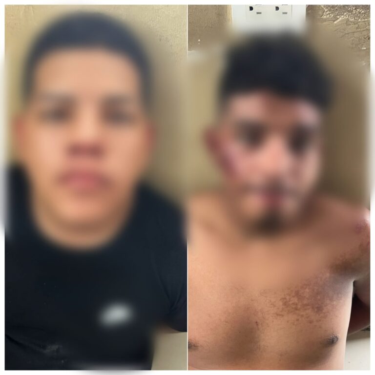 Policía aprehendió a dos sujetos por el delito de robo a personas en Guayaquil
