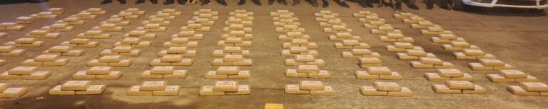 Policía evitó el envío de 300 paquetes de cocaína en la frontera norte