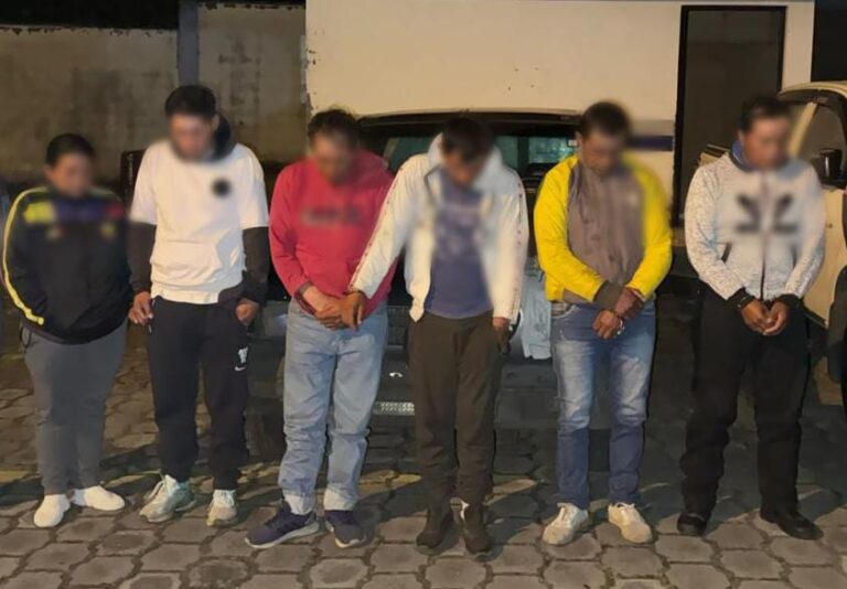 Policía capturó a seis presuntos implicados en el delito de asociación ilícita y abigeato en Pichincha