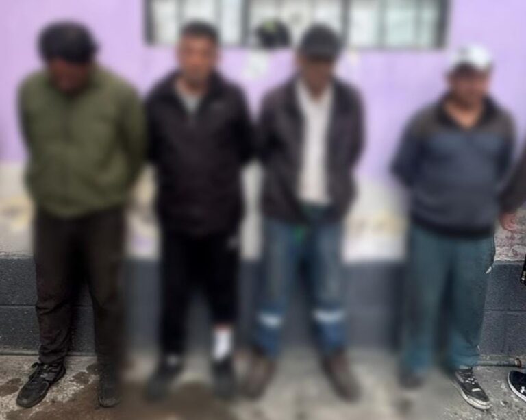 Policía afectó a organización delictiva dedicada a robo y desmantelamiento de vehículos en Quito