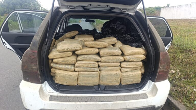 Operación Asunción 2 permitió incautar 131 paquetes de marihuana