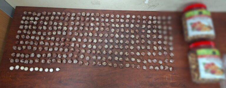 Policía Nacional decomisó droga oculta en frutos secos valorada en más de 28 mil dólares en Estado Unidos