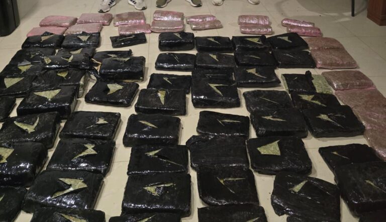 Allanamiento policial desmantela centro de acopio de alcaloides