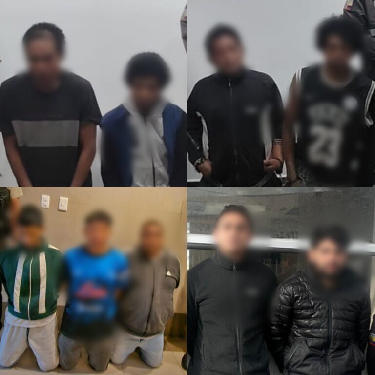 Más de 11 mil dosis de droga incautadas y nueve capturados durante operativos ejecutados en Chimborazo y Pichincha 