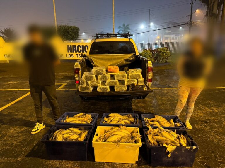 Sujetos capturados en posesión de 5.000 municiones en Santo Domingo de los Tsáchilas