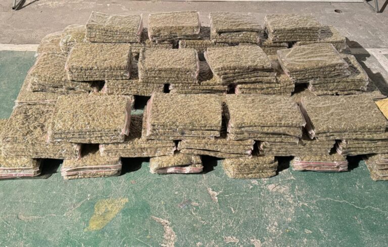 Policía Nacional incauta más de 110 kilos de marihuana en Esmeraldas
