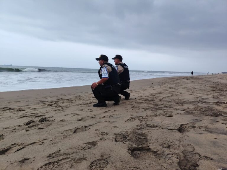 Policía Nacional brinda seguridad a turistas durante eclosión de tortugas en playa Las Palmas de Esmeraldas
